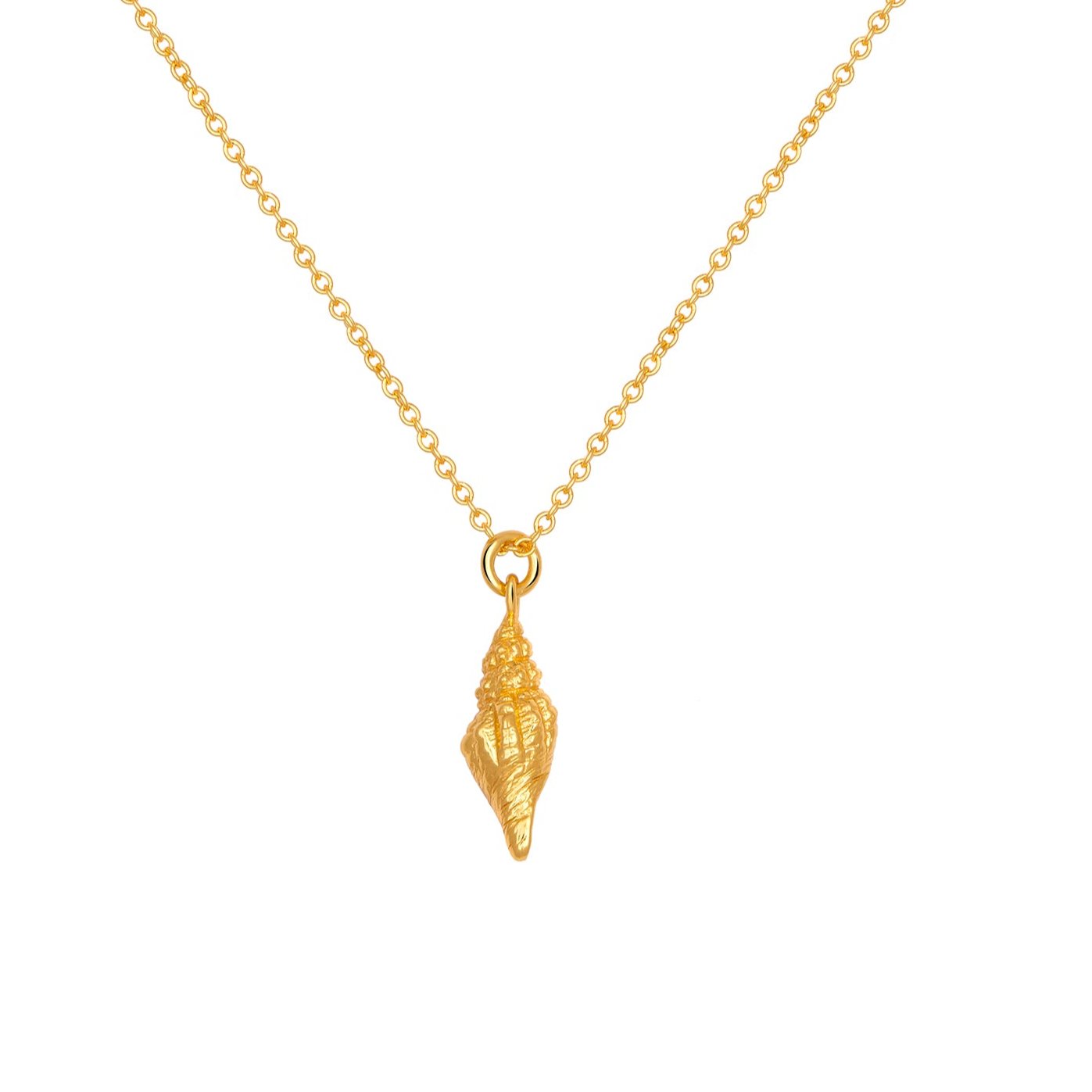 Spiral Shell Gold Necklace