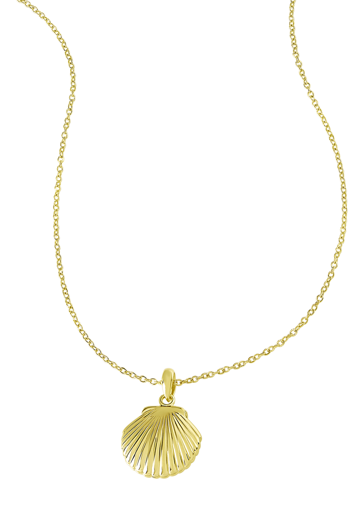 Seashell Locket Gold