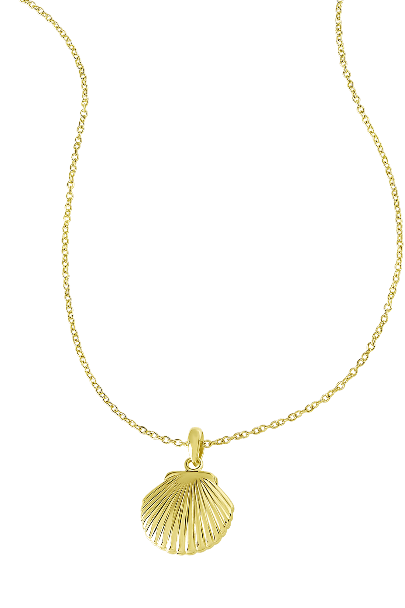 Seashell Locket Gold