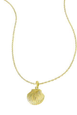 Seashell Locket Gold