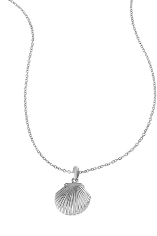 Seashell Locket