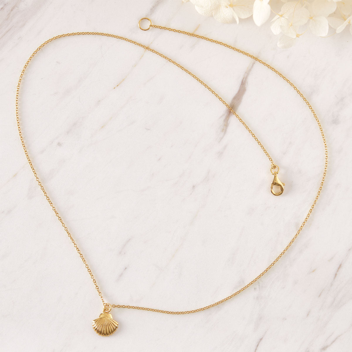 Dainty Seashell Necklace Gold