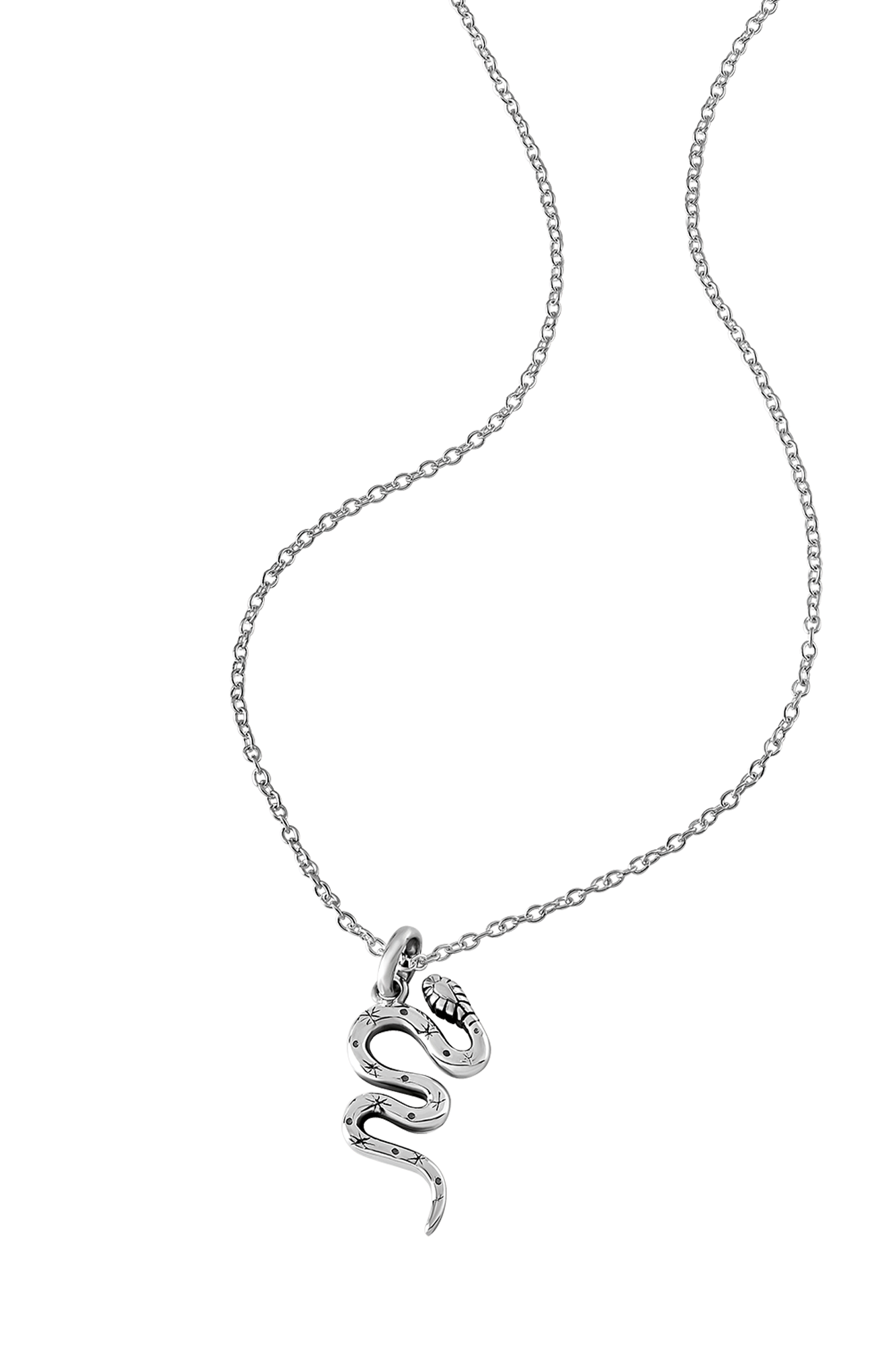 Mystic Serpent Necklace