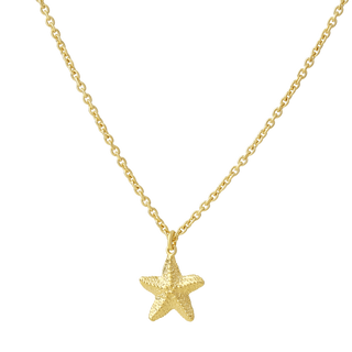 Starfish Necklace Gold