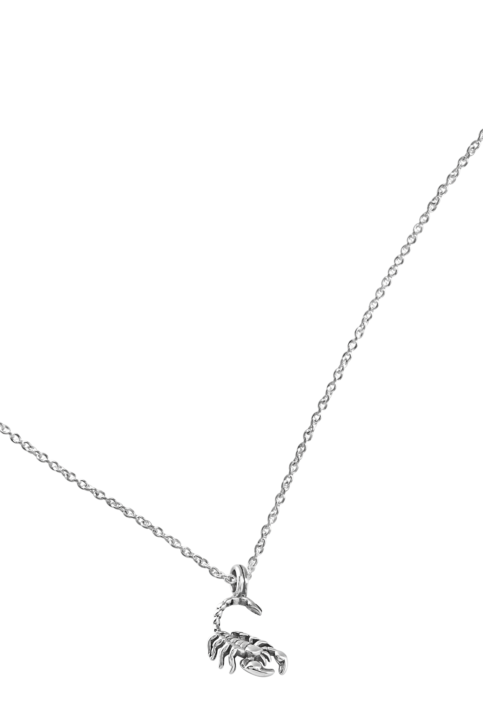Scorpion Necklace