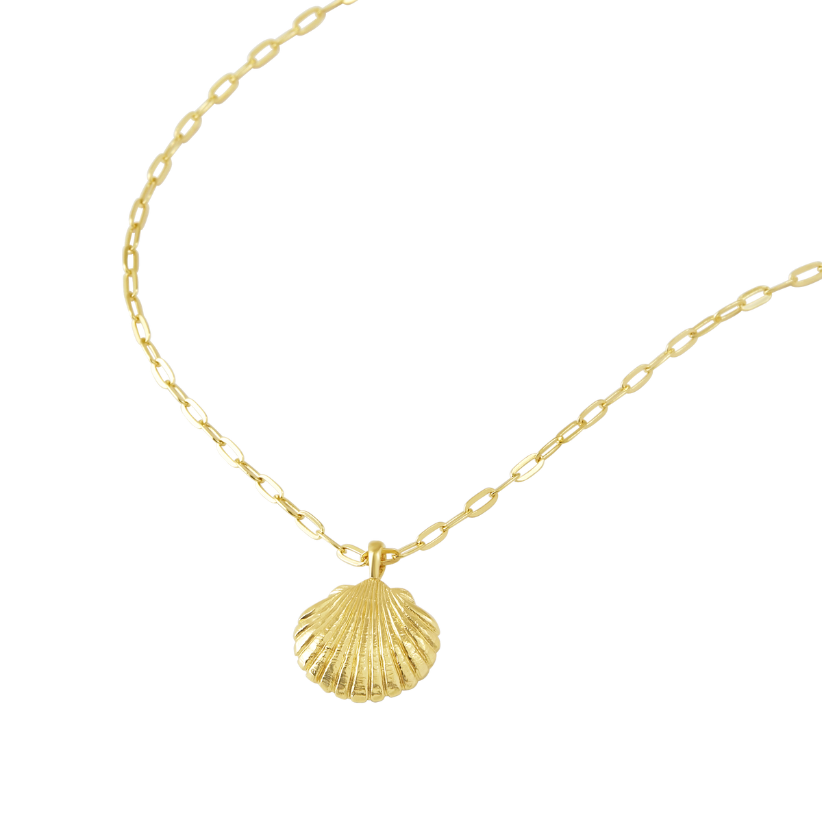 Sandshell Necklace Gold