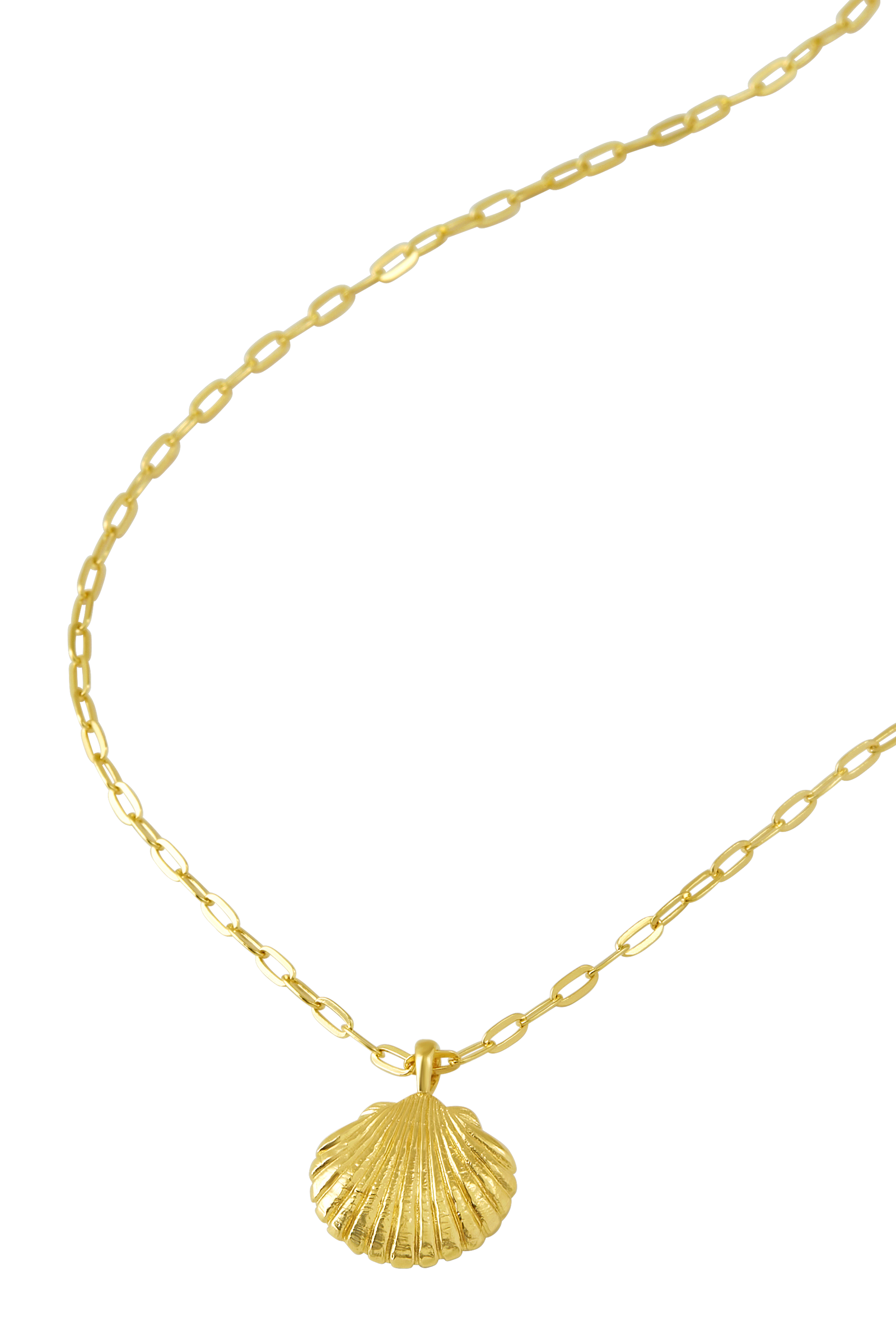 Sandshell Necklace Gold