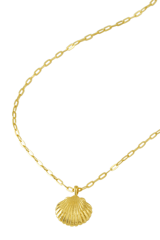 Sandshell Necklace Gold