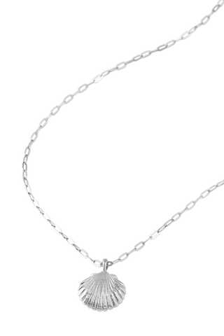 Sandshell Necklace