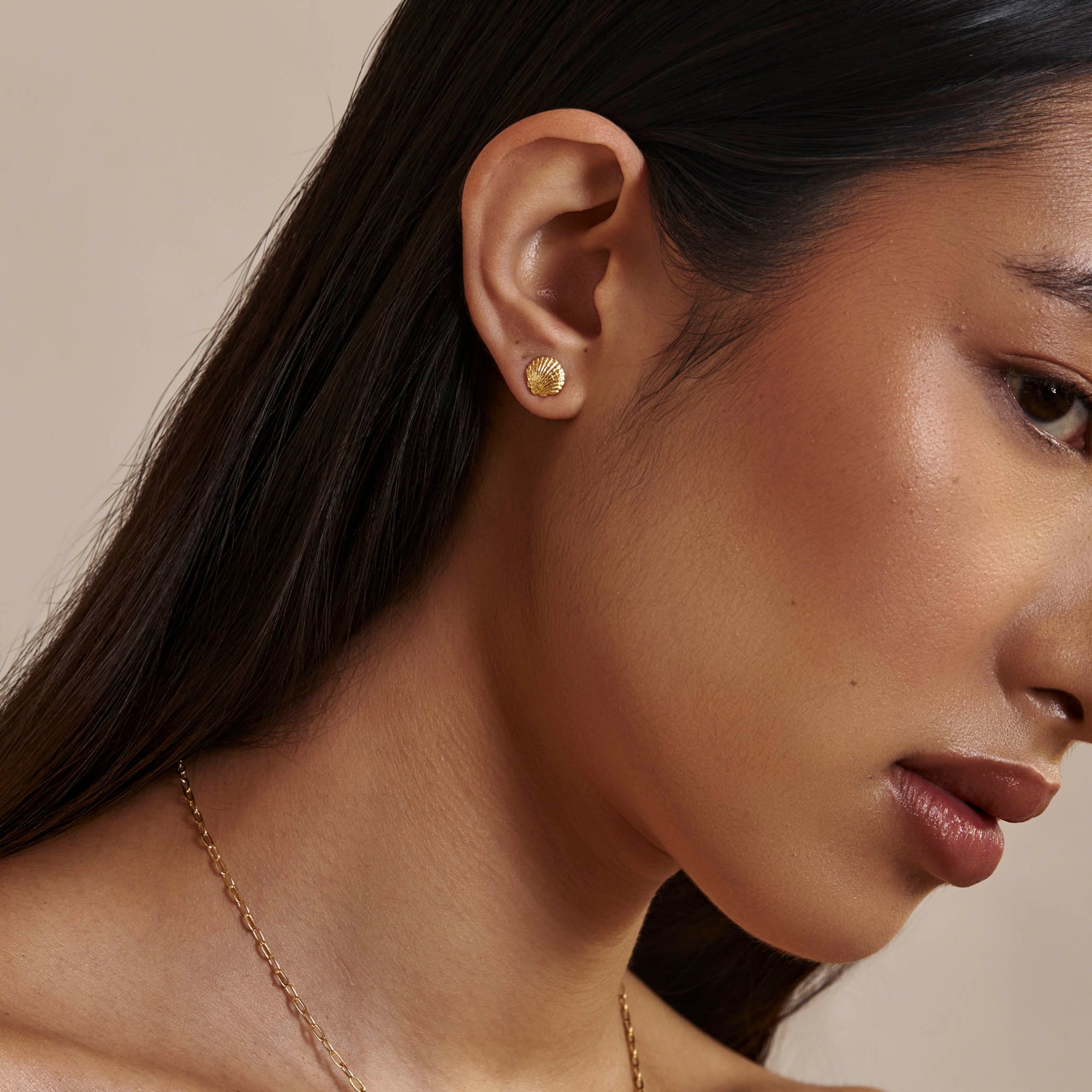 Sandshell Studs Gold