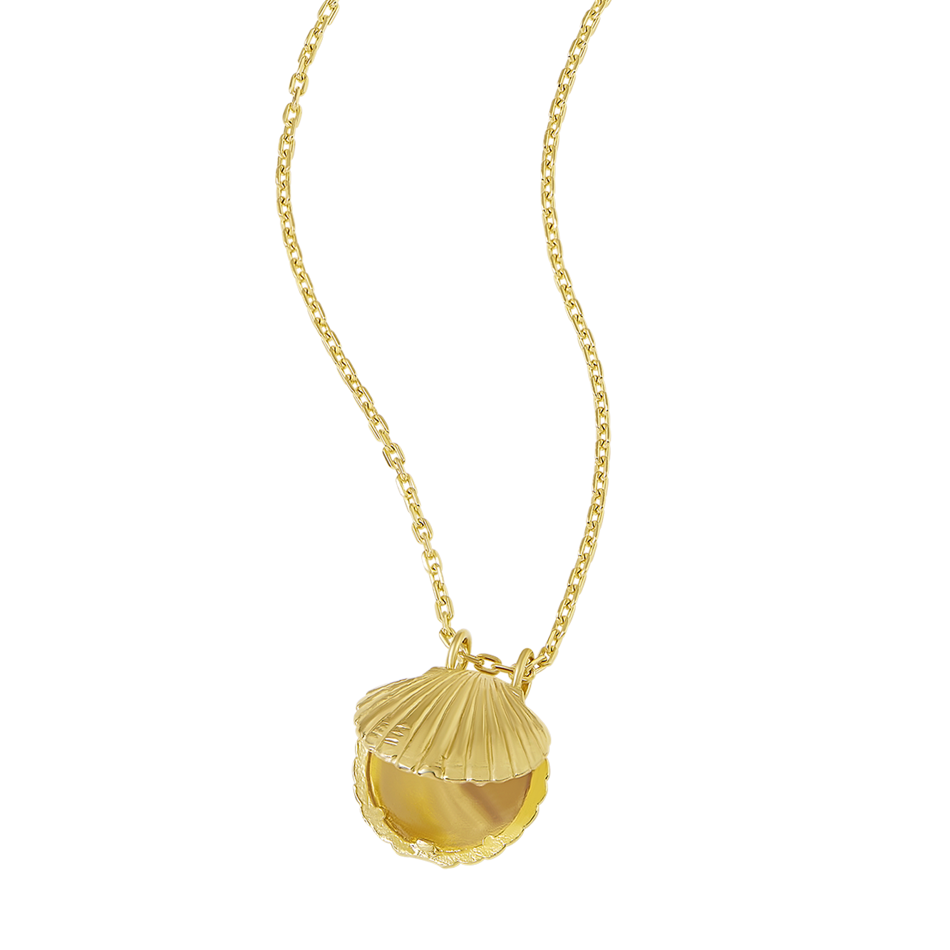 Textured Seashell Locket Gold