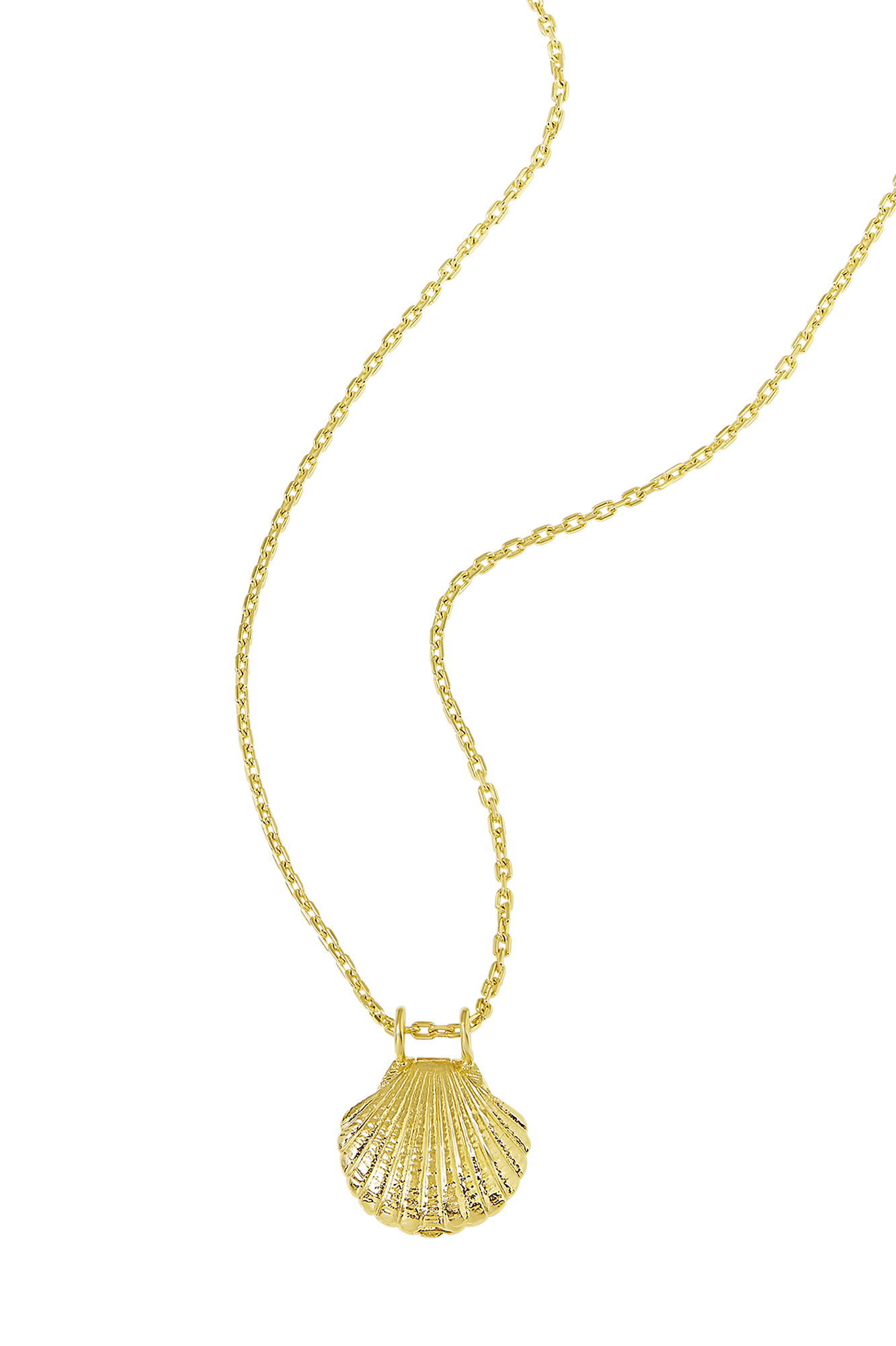 Textured Seashell Locket Gold