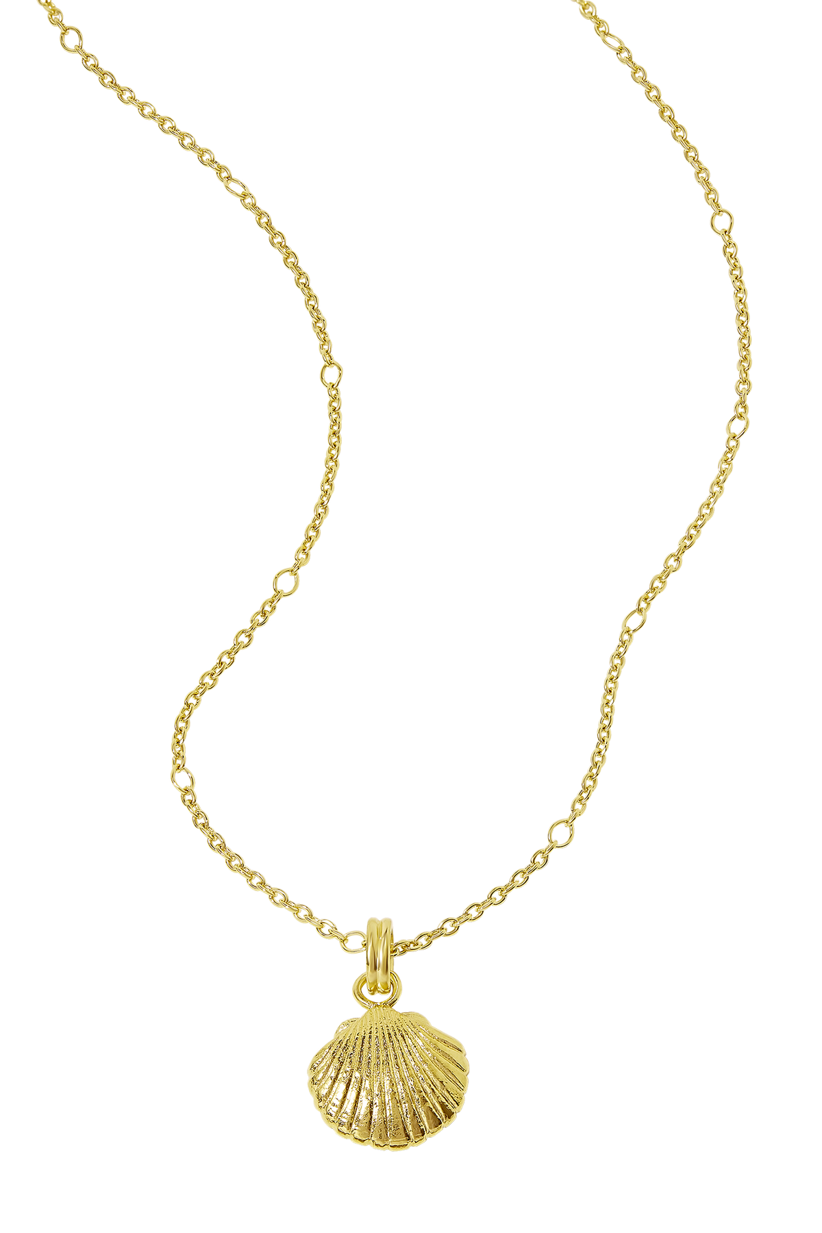 Textured Seashell Necklace Gold