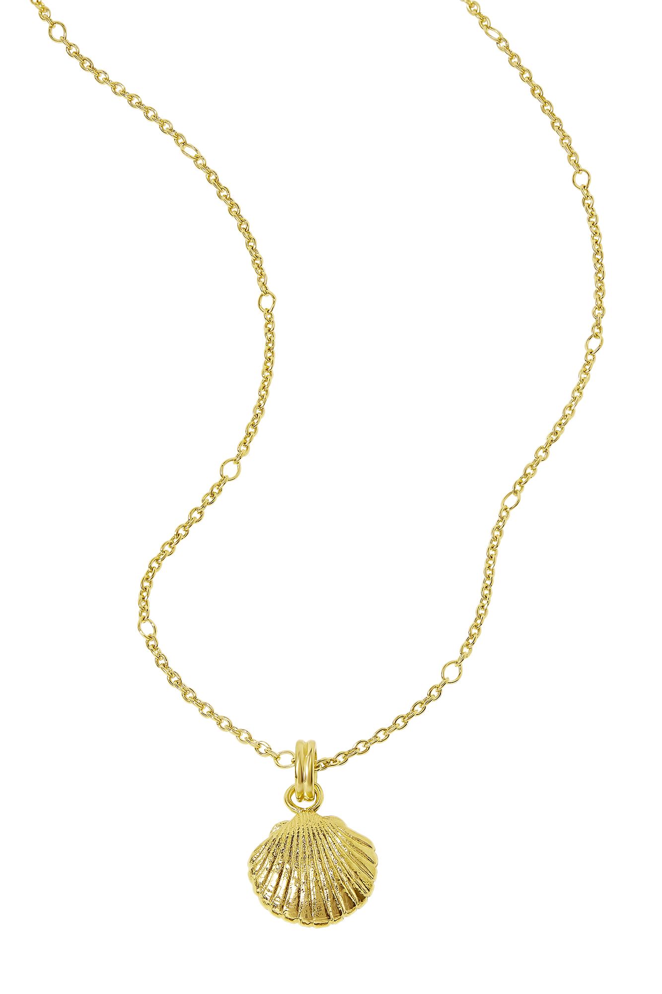 Textured Seashell Necklace Gold