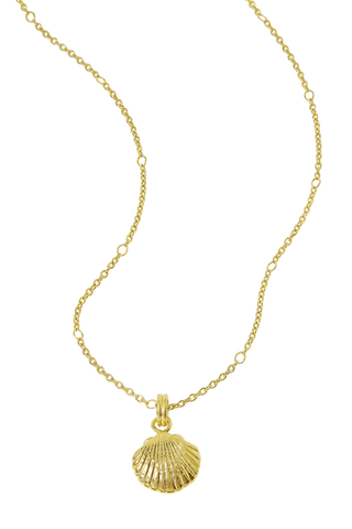 Textured Seashell Necklace Gold