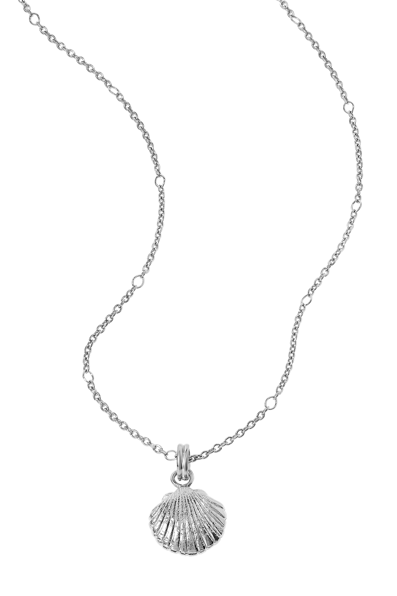 Textured Seashell Necklace