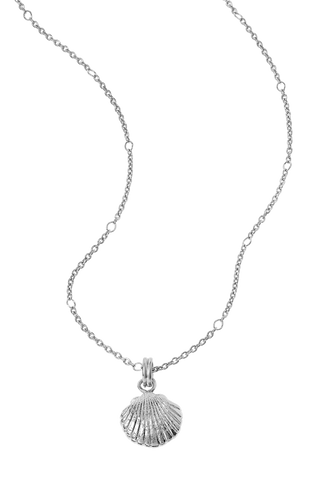 Textured Seashell Necklace