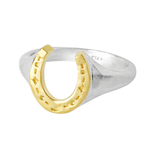 Lucky Horseshoe Ring Two Tone - 5