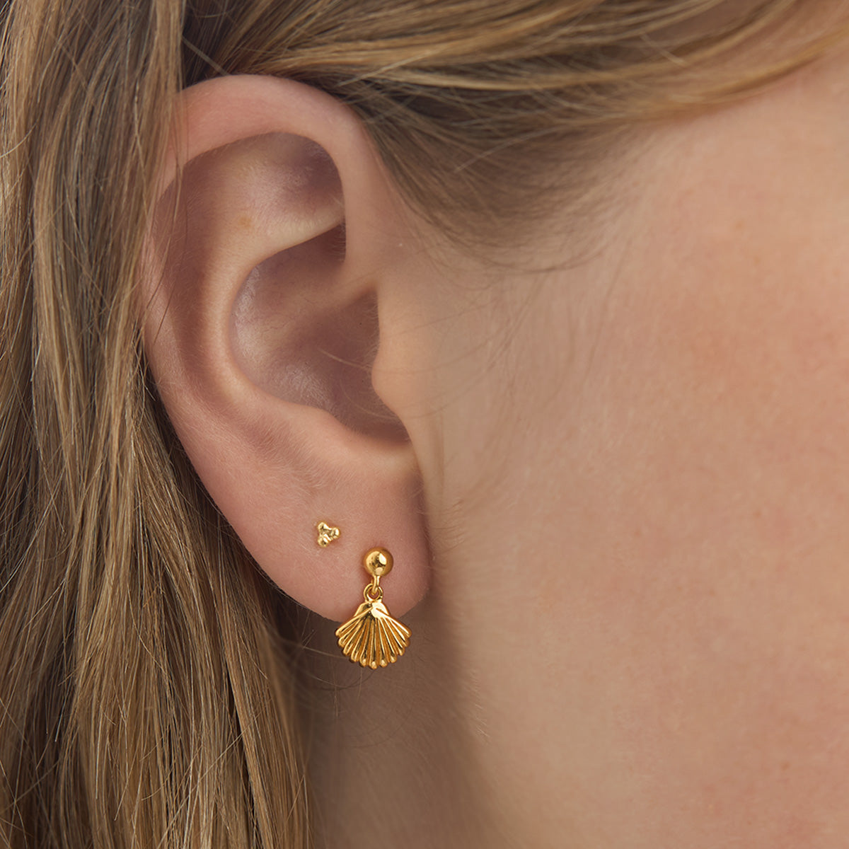 Seashell Drop Studs Gold