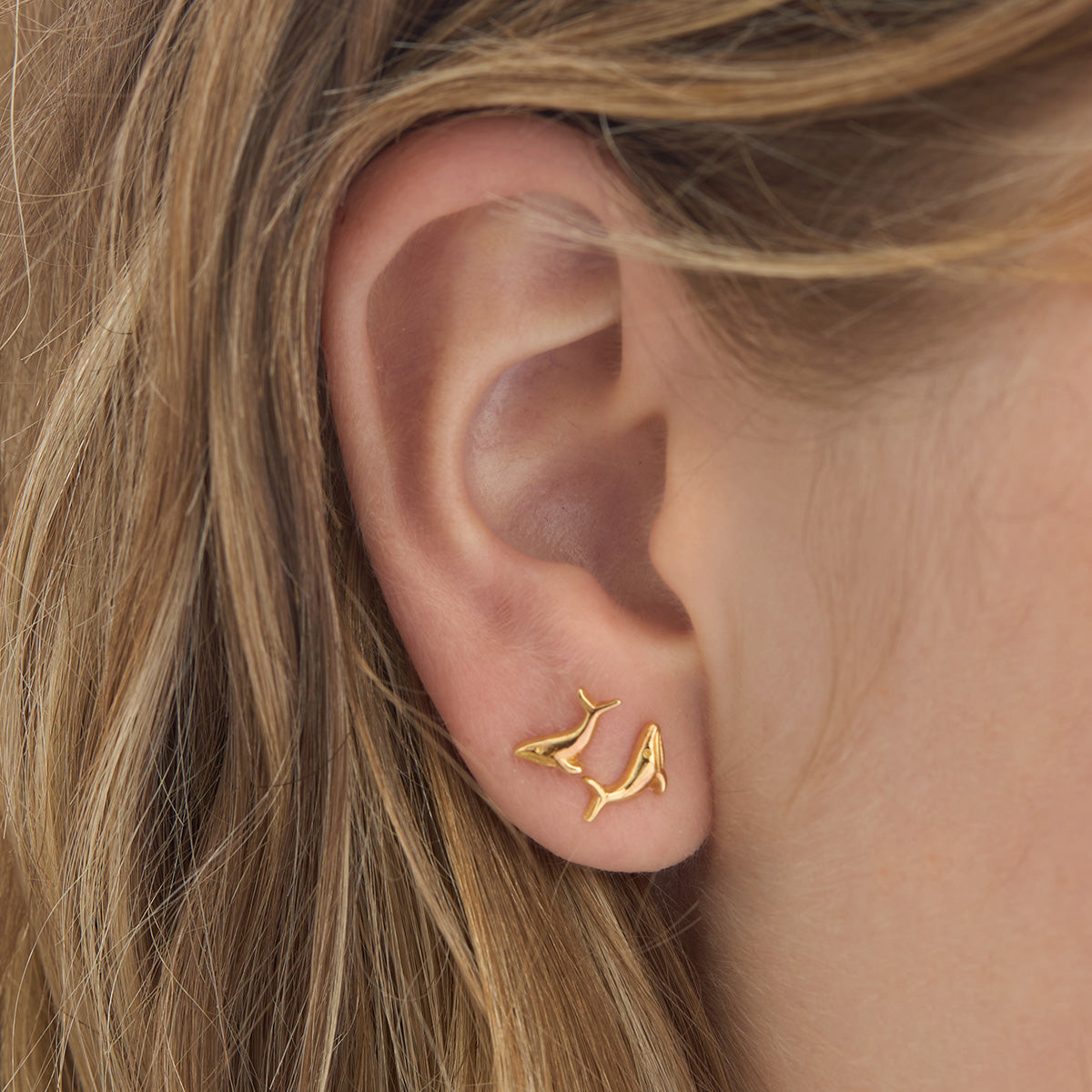 Whale Song Studs Gold