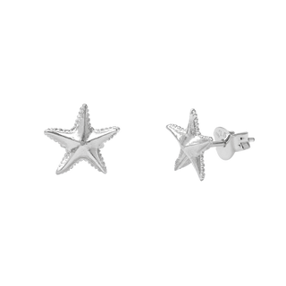 Dainty Starfish Studs