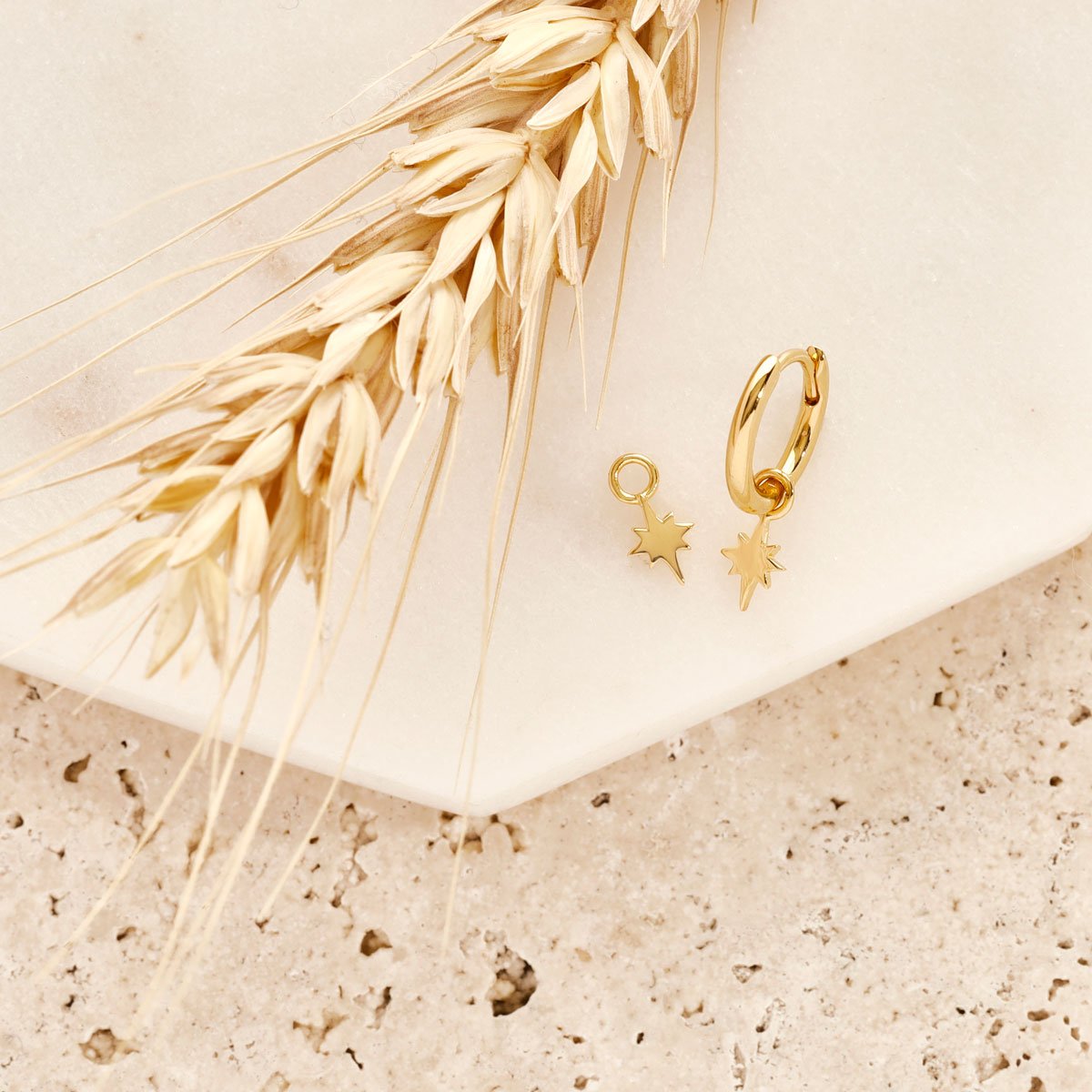 Celestial Ear Gold Charms