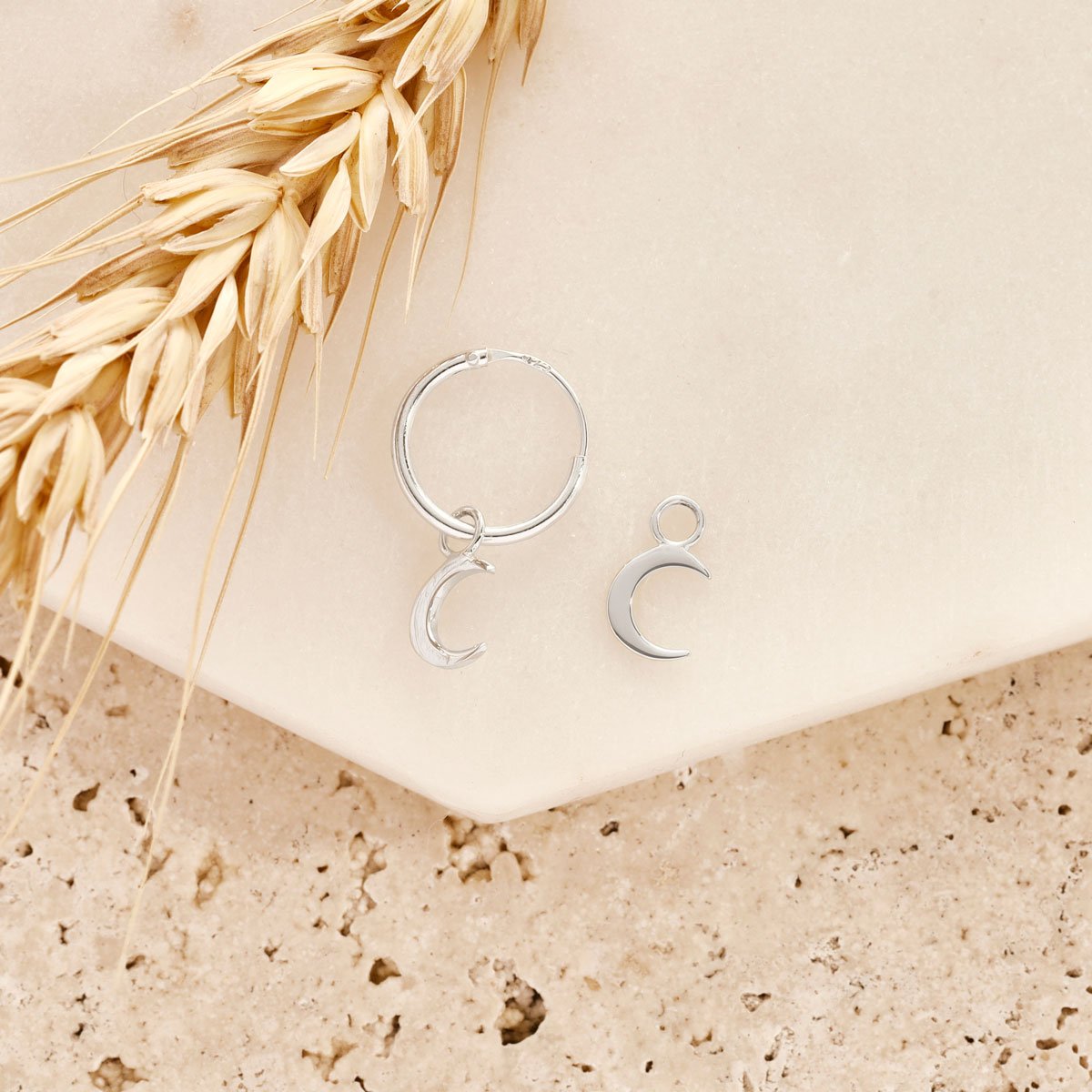 Moon Crescent Ear Charms