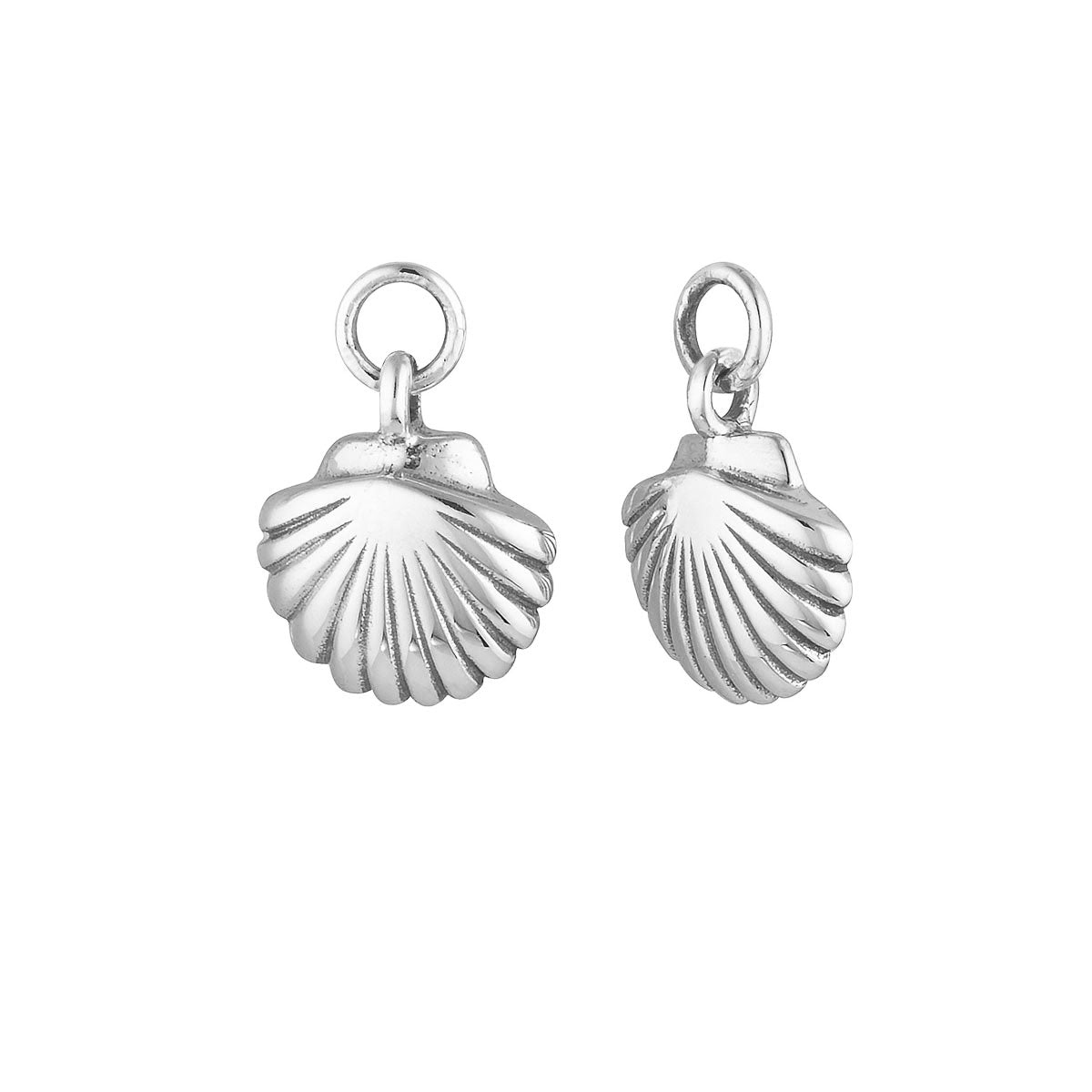 Seashell Ear Charms