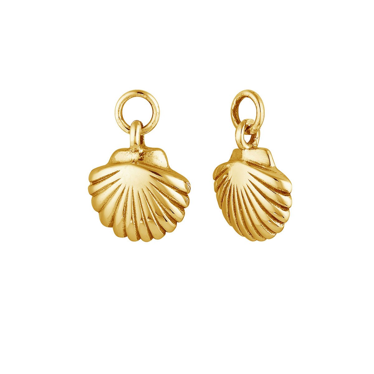 Seashell Gold Ear Charms
