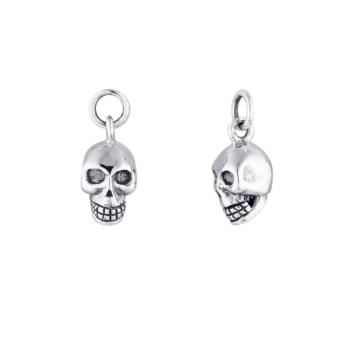 Skull Ear Charms