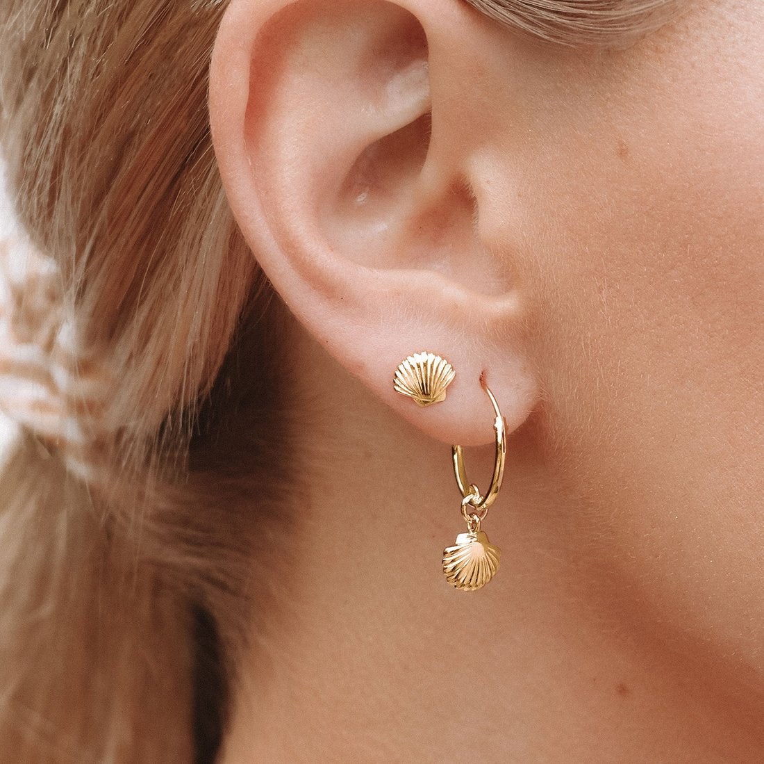 Dainty Seashell Studs Gold