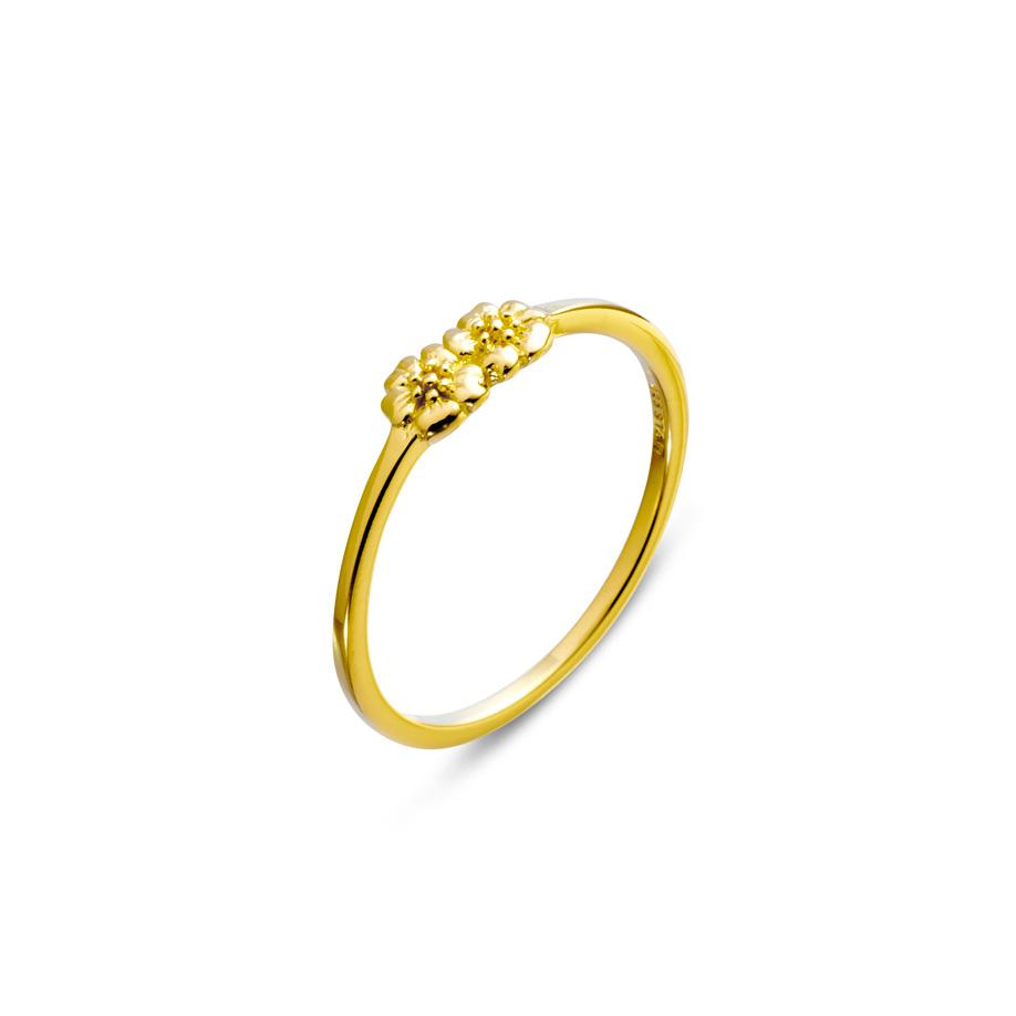 Dioscuri Gold Ring