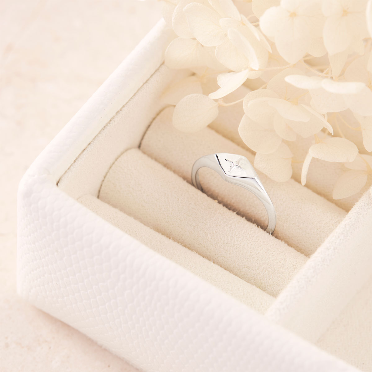 Celestial Diamond Signet Ring