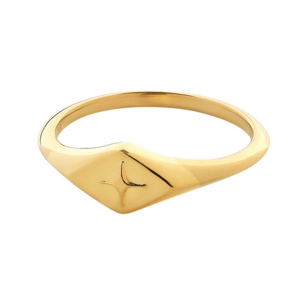 Celestial Diamond Signet Ring  Gold