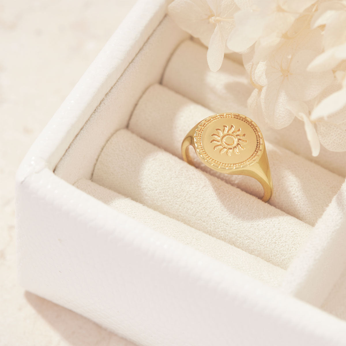 Solstice Signet Ring Gold