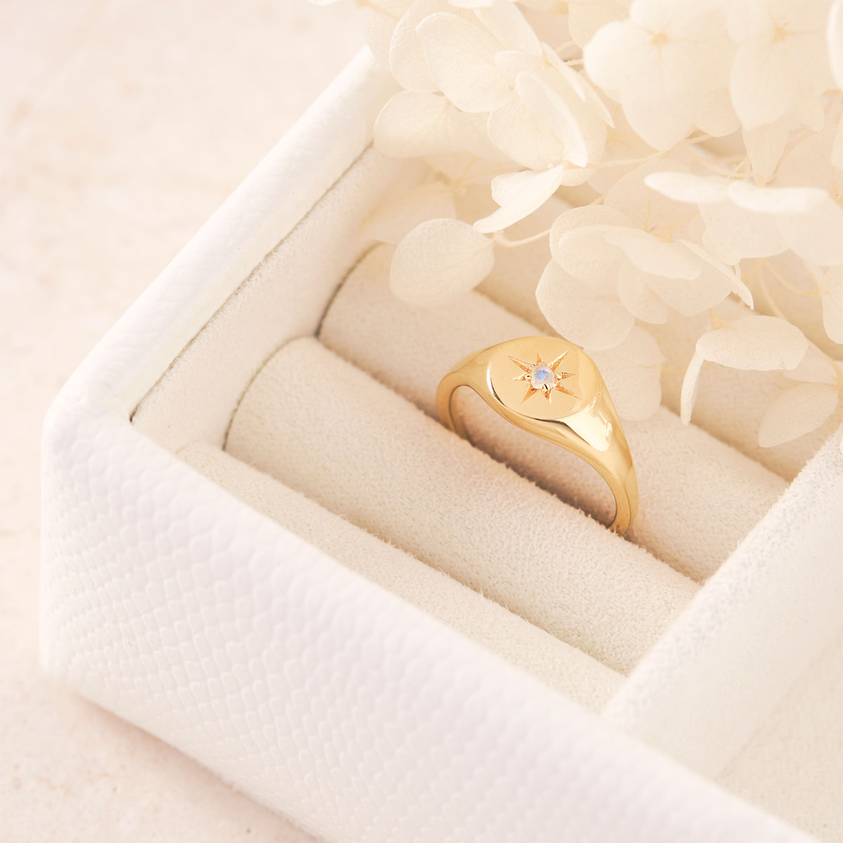 Enchanted Light Moonstone Signet Gold Ring