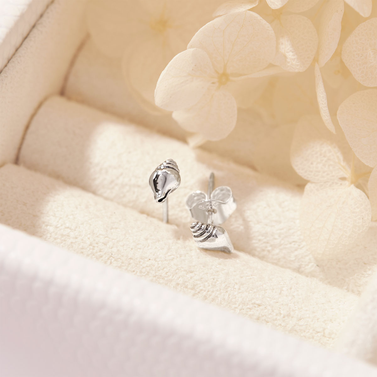 Conch Seashell Studs