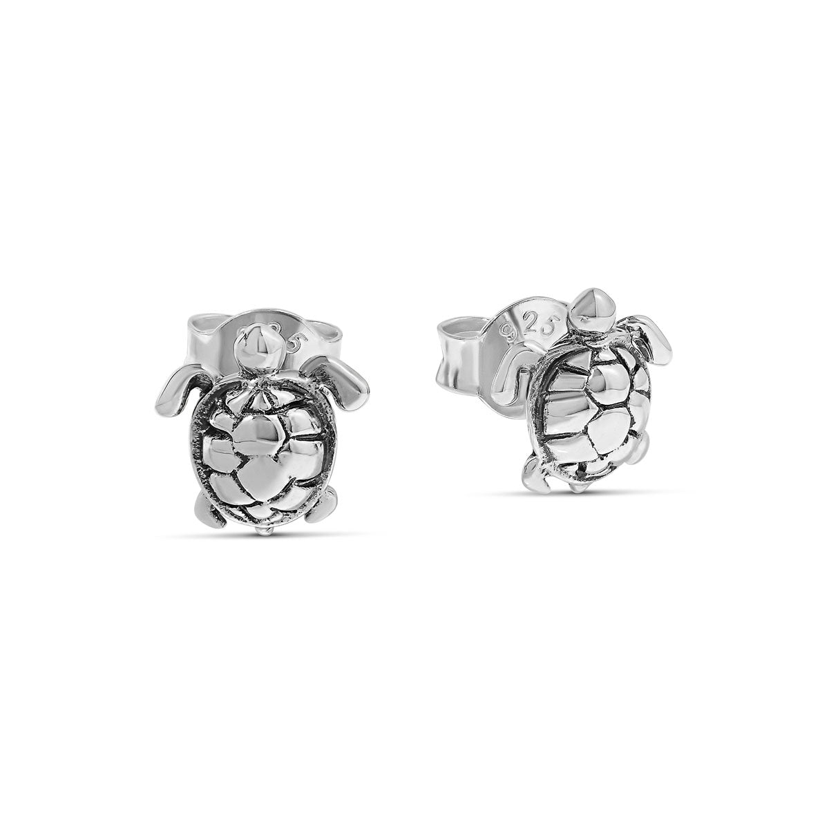 Great Barrier Reef Turtle Studs