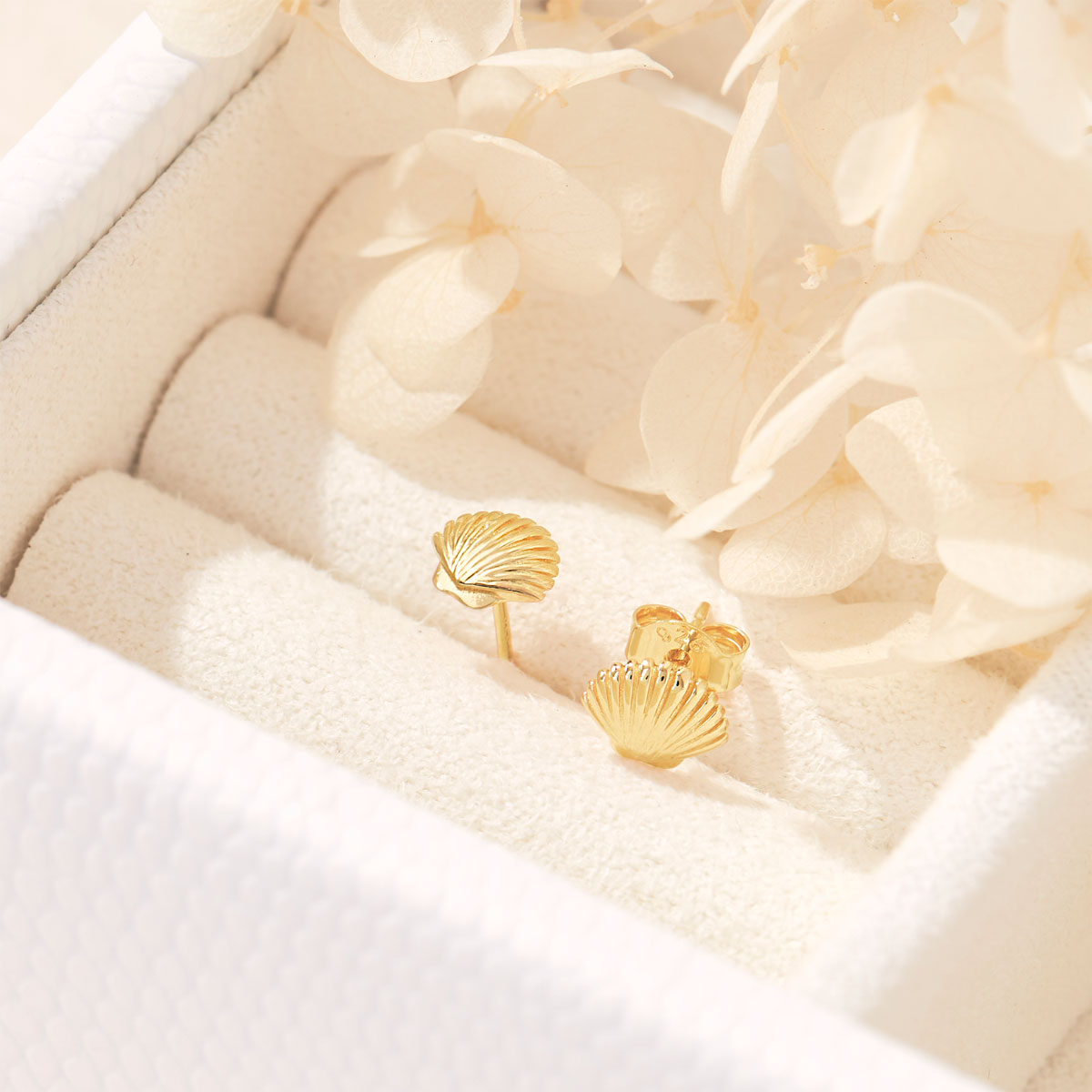 Dainty Seashell Studs Gold