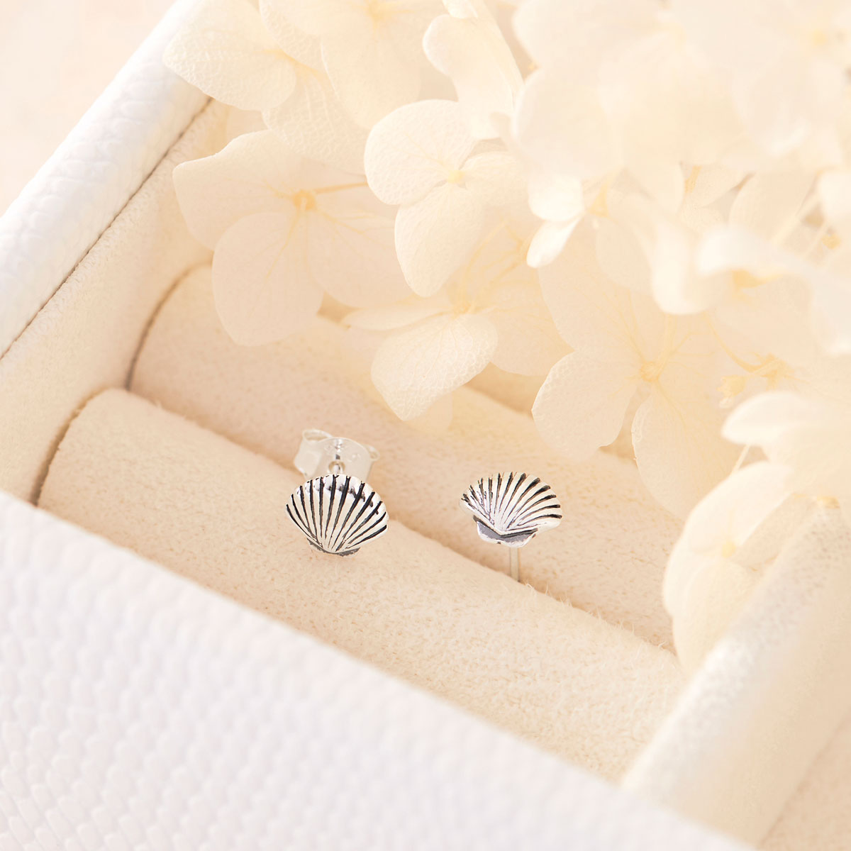 Dainty Seashell Studs