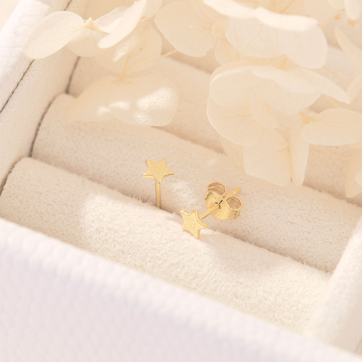 Astra Star Gold Studs