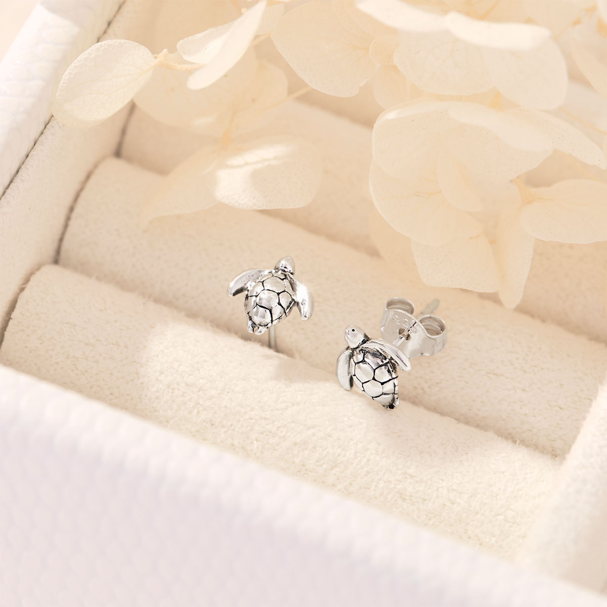 Long Reef Turtle Studs