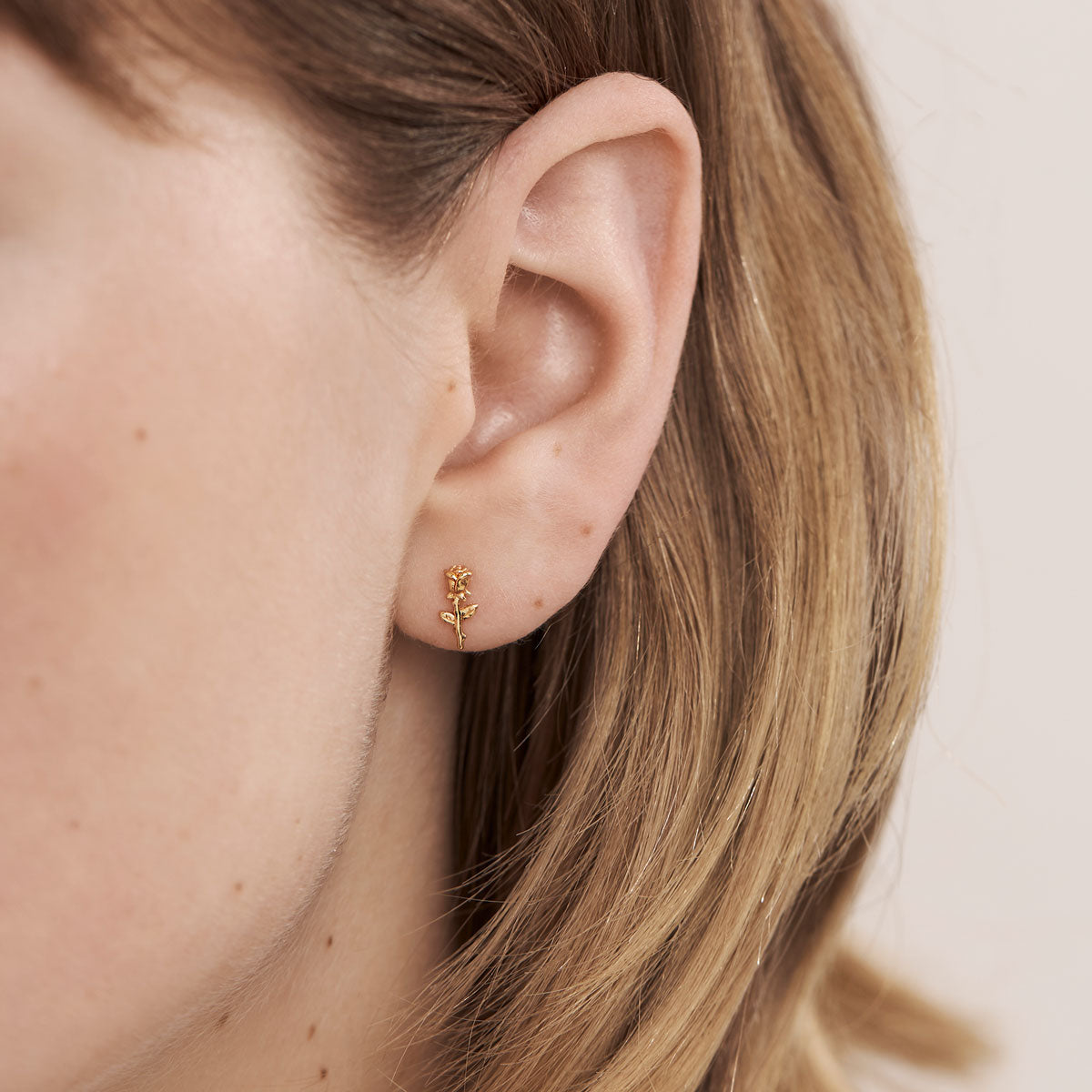 Enchanted Rose Studs Gold