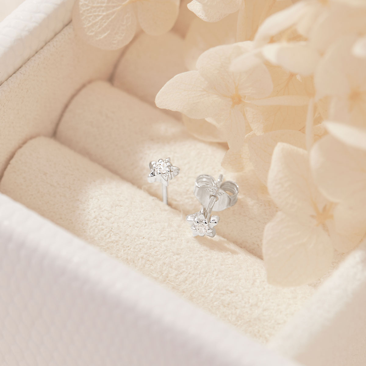 Dainty Star Studs