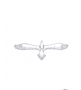 Night Eagle Necklace