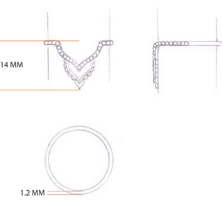 Double Arch Ring