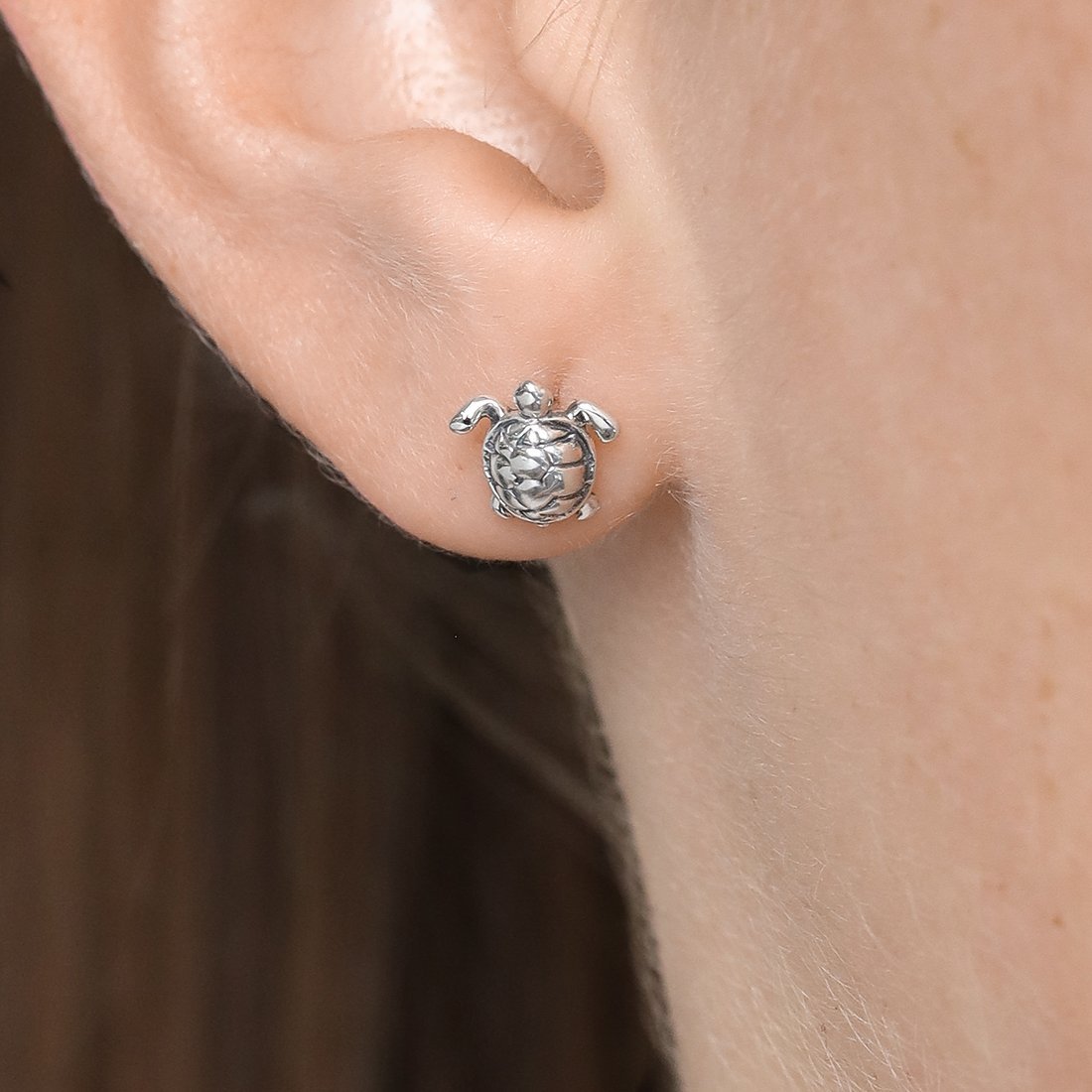 Great Barrier Reef Turtle Studs