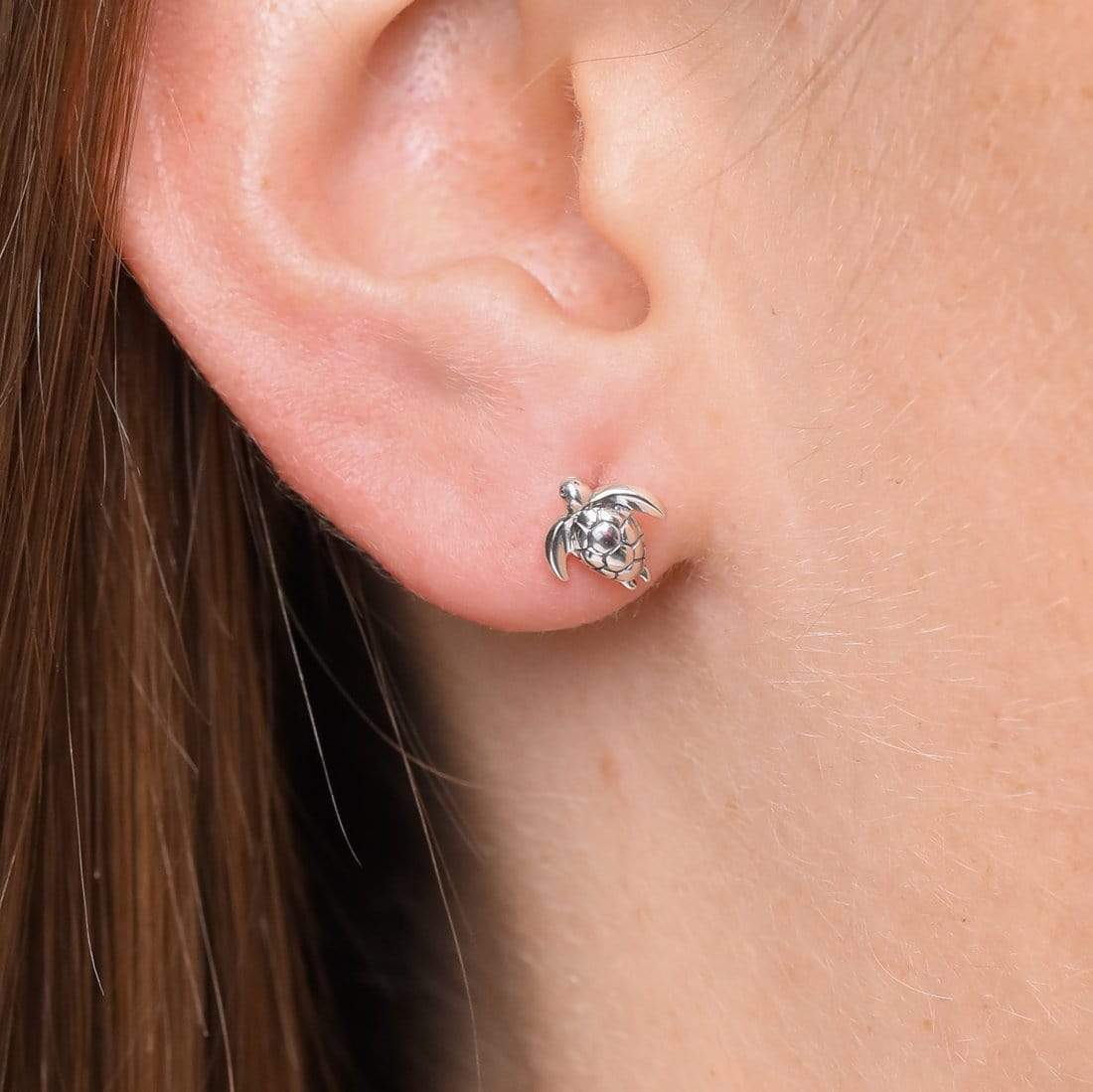 Long Reef Turtle Studs